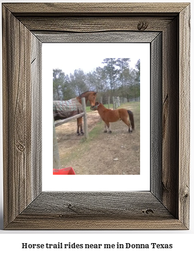 horse trail rides near me in Donna, Texas